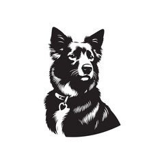 Australian Cattle Dog Vector - Silhouette Of Australian Cattle Dog - Dog Illustration.