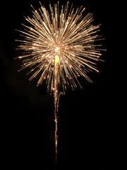 Vibrant golden firework exploding in the dark night sky, illuminating the darkness, festive, fun