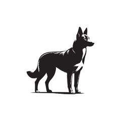 Australian Kelpie Silhouette - Australian Kelpie Vector - Illustration of Australian Kelpie.