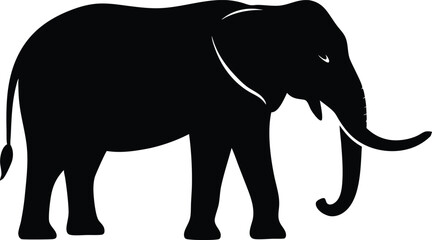 Fototapeta premium elephant black silhouette isolated vector art Illustration with white background 
