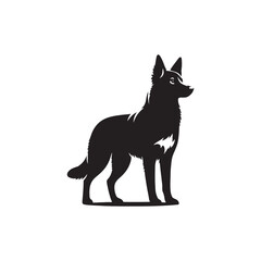 Australian Kelpie Silhouette - Australian Kelpie Vector - Illustration of Australian Kelpie.