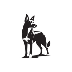 Australian Kelpie Silhouette - Australian Kelpie Vector - Illustration of Australian Kelpie.