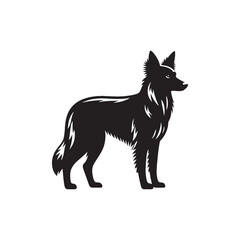 Australian Kelpie Silhouette - Australian Kelpie Vector - Illustration of Australian Kelpie.