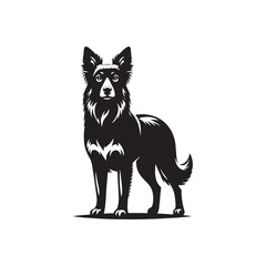 Australian Kelpie Silhouette - Australian Kelpie Vector - Illustration of Australian Kelpie.
