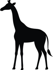 Obraz premium giraffe black silhouette isolated vector art Illustration with white background
