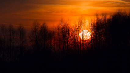 disc of the sun setting behind a wall of leafless trees, red sunset, low key, exposure, landscape, sun, trees, sky, clouds, high contrast