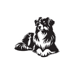 Australian Shepherd Dog Silhouette - Australian Shepherd Dog Illustration - Vector of Dog.