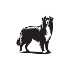 Australian Shepherd Dog Silhouette - Australian Shepherd Dog Illustration - Vector of Dog.