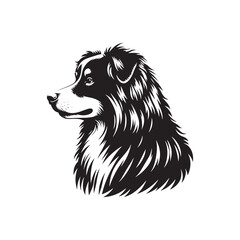 Australian Shepherd Dog Silhouette - Australian Shepherd Dog Illustration - Vector of Dog.