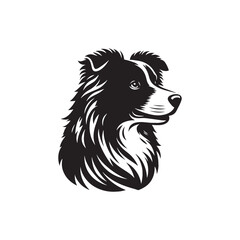 Australian Shepherd Dog Silhouette - Australian Shepherd Dog Illustration - Vector of Dog.