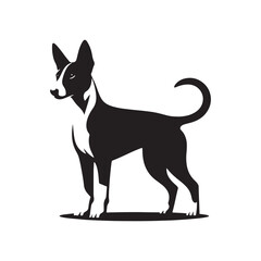 Basenji Silhouette - Minimal Basenji Dog Vector - Dog Illustration.