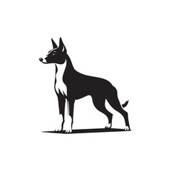 Basenji Silhouette - Minimal Basenji Dog Vector - Dog Illustration.