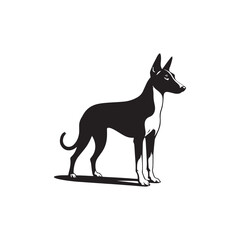Basenji Silhouette - Minimal Basenji Dog Vector - Dog Illustration.