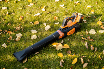 Picture of electric leaf blower in backyard with fallen leaves around it.