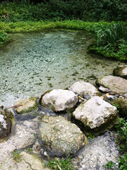 Serene natural pond with clear water and rocky shore