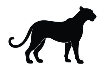 Fototapeta premium leopard black silhouette isolated vector art Illustration cheetah with white background