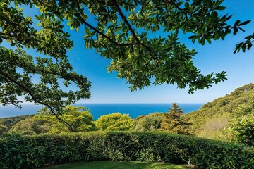 Stunning Panoramic View of Lush Greenery and Blue Sky