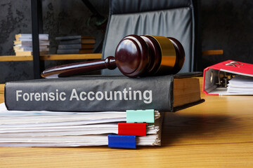 Forensic accounting book and documents. Financial auditing.