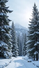 Naklejka premium Scenic winter forest path with snow-covered trees and sunlight