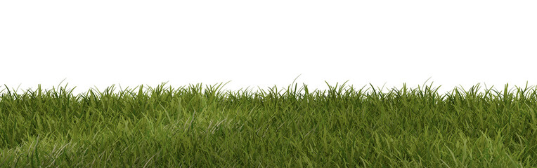 green grass meadow, isolated, 3d-illustration