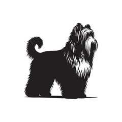 Bearded Collie Silhouette - Bearded Collie Dog Vector - Dog Vector - Dog Silhouette.