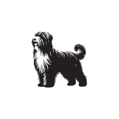 Bearded Collie Silhouette - Bearded Collie Dog Vector - Dog Vector - Dog Silhouette.