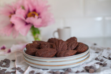 sweet home made Chocolate cookies Madeleine 