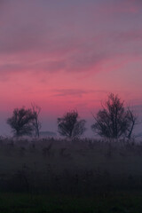 GPS INSIDE Sunset trees feeling particular characteristic nature naturalistic landscape