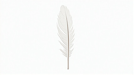 feather isolated on white background