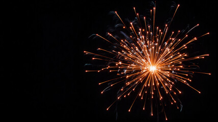 fireworks in the night sky