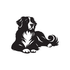 Bernese Mountain Dog Vector - Minimalist Bernese Mountain Dog Silhouette - Illustration of Bernese Mountain Dog.