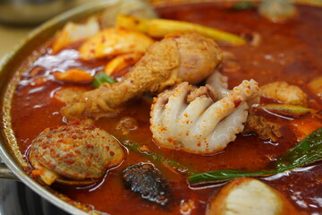 Spicy Korean stew with chicken and octopus