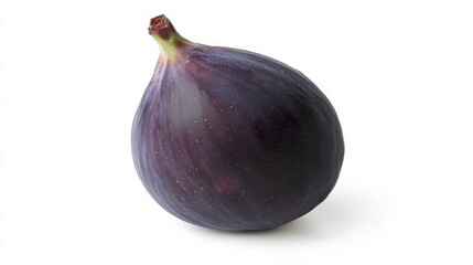 A single, ripe fig with its smooth, purple skin and slightly bulbous shape