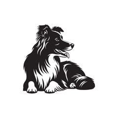 Border Collie Silhouette - Border Collie Vector - Border Collie Dog Illustration.