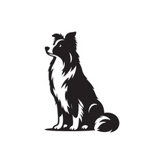 Border Collie Silhouette - Border Collie Vector - Border Collie Dog Illustration.