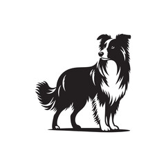 Border Collie Silhouette - Border Collie Vector - Border Collie Dog Illustration.