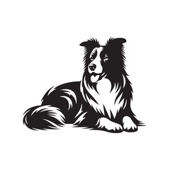 Border Collie Silhouette - Border Collie Vector - Border Collie Dog Illustration.