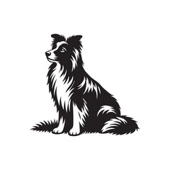 Border Collie Silhouette - Border Collie Vector - Border Collie Dog Illustration.