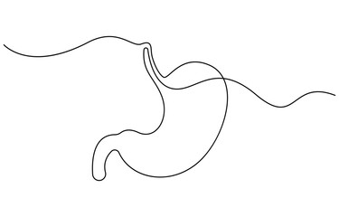 Continuous one line drawing of Stomach organ Human Gastrointestinal