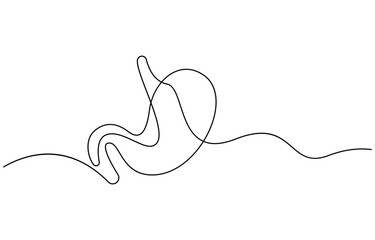 Continuous one line drawing of Stomach organ Human Gastrointestinal