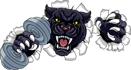 A panther jaguar leopard weight lifting gym animal sports mascot holding a dumbbell weight in his claw
