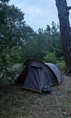 A tourist tent in a pine forest. Travel and adventures.