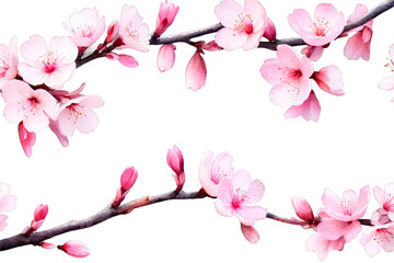 Fototapeta premium Watercolor sakura flowers set, Isolated flora, painting pink spring flower cherry blossom branch. botanical illustration, Generative AI