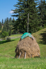 Montículo de heno en la región de los Cárpatos en Bucovina, Rumania