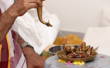 Performing Pooja for Hindu god siva linga with milk, honey and coconut water	
