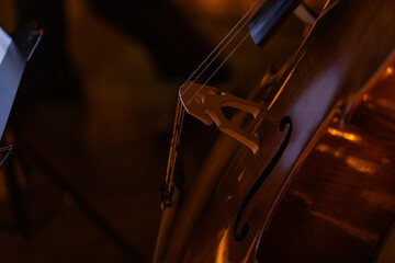 closeup of cello with lots of candles © Ruslan