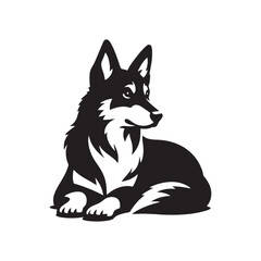 Canaan Dog Vector - Minimalist Canaan Dog Design - Canaan Dog Illustration - Dog Silhouette.