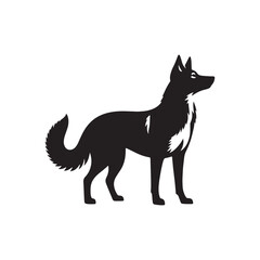 Canaan Dog Vector - Minimalist Canaan Dog Design - Canaan Dog Illustration - Dog Silhouette.