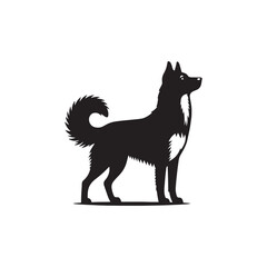 Canaan Dog Vector - Minimalist Canaan Dog Design - Canaan Dog Illustration - Dog Silhouette.