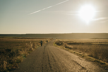 The Camino de Santiago during sunrise in Navarra, Spain